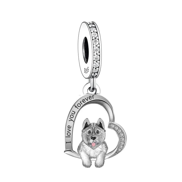 Charm Chien Akita Inu