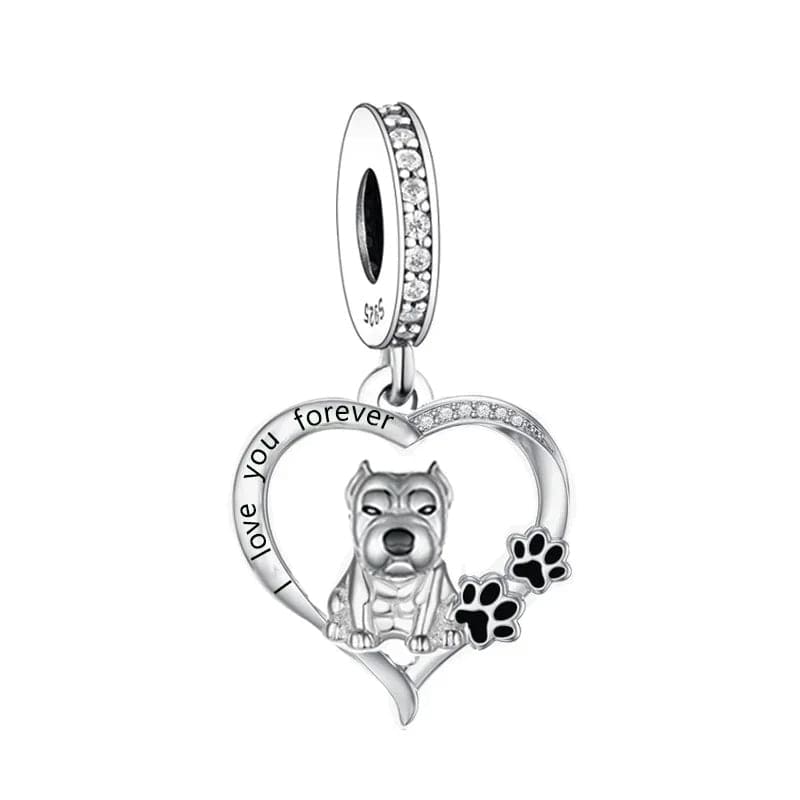 Charm Chien Pitbull Forever Love