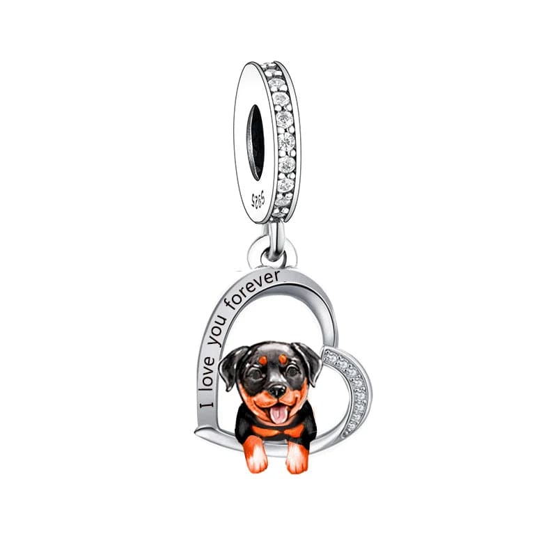 Charm Chien Rottweiler