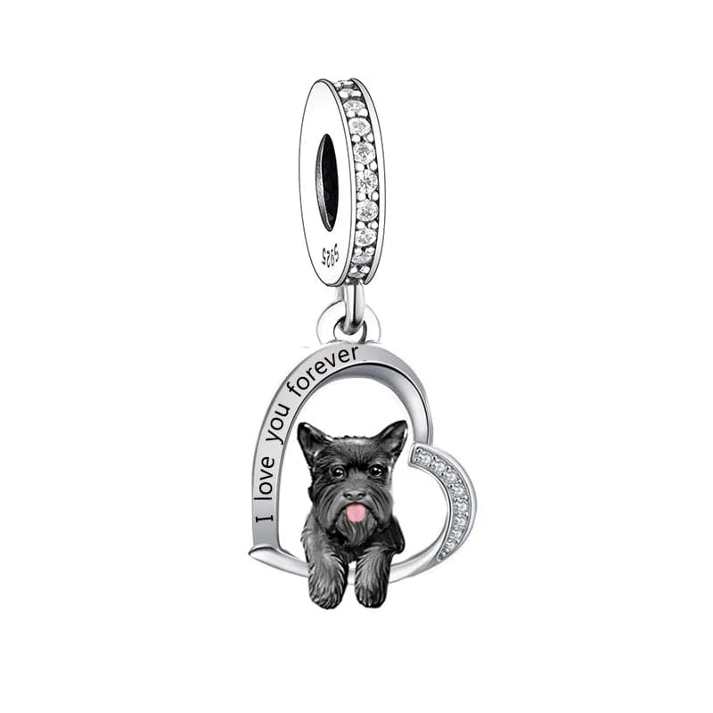 Charm Chien Scottish Terrier