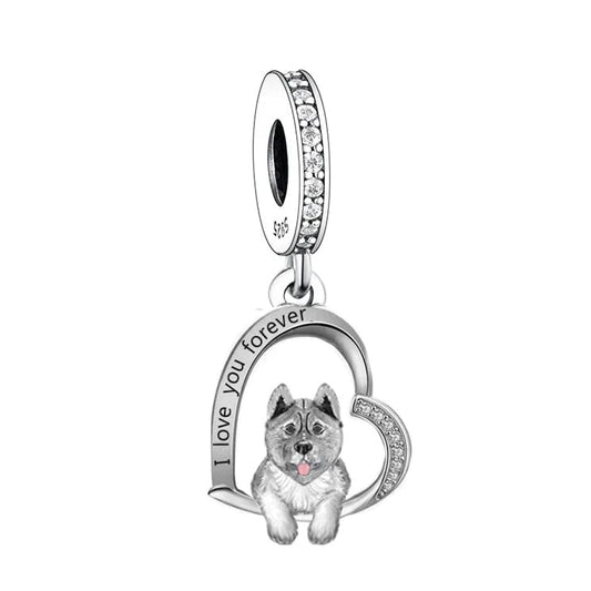 Charm Chien Akita Inu