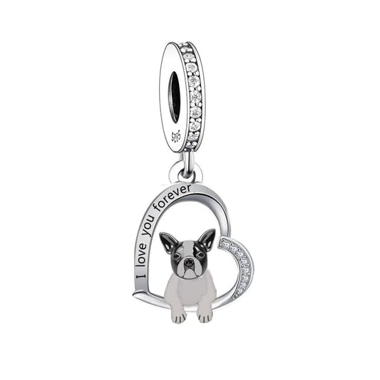 Charm Chien Boston Terrier