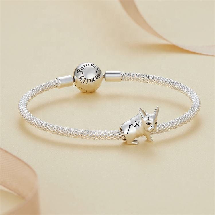 Charm Bouledogue Français