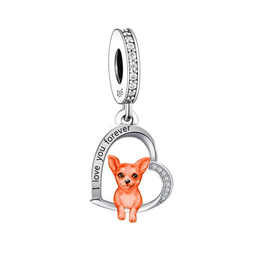 Charm Chien Chihuahua