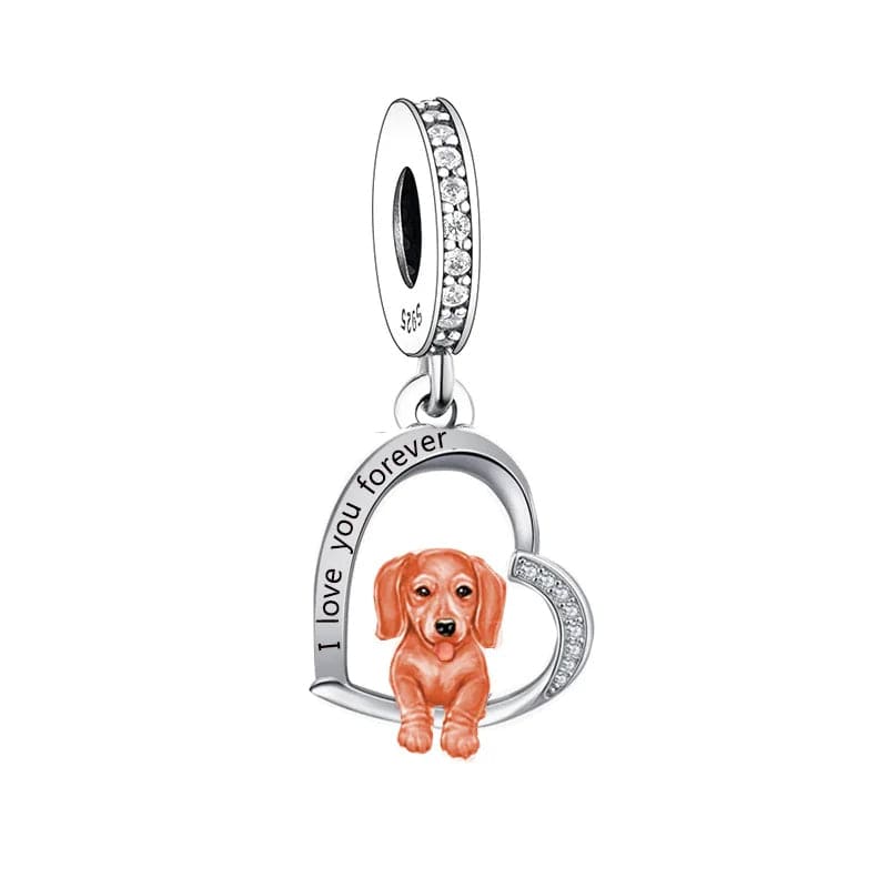 Charm Chien Teckel