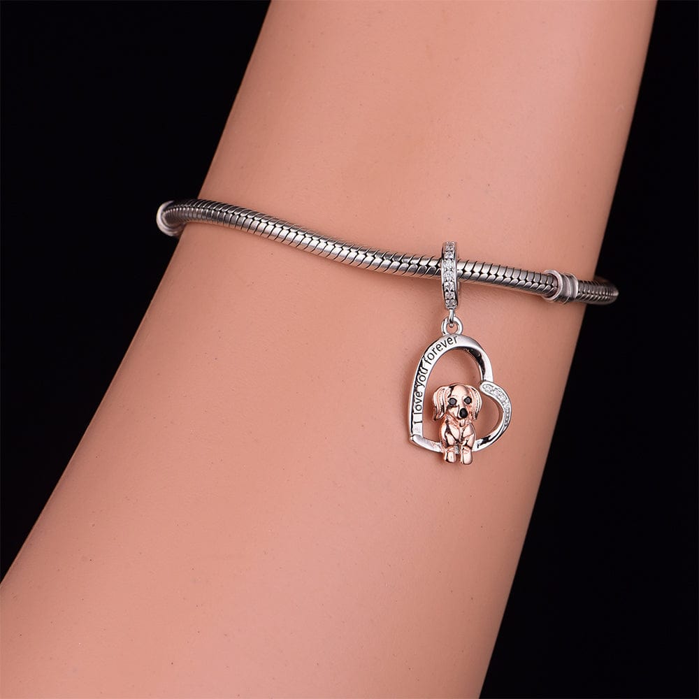 Charm Chien Teckel