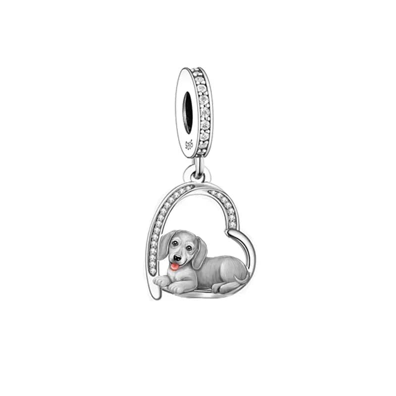 Charm Chiot Teckel