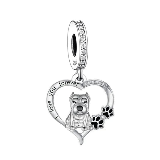 Charm Chien Pitbull Forever Love