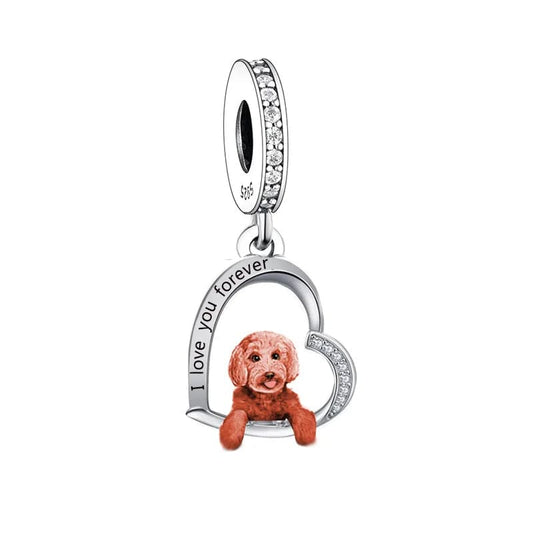 Charm Chien Goldendoodle