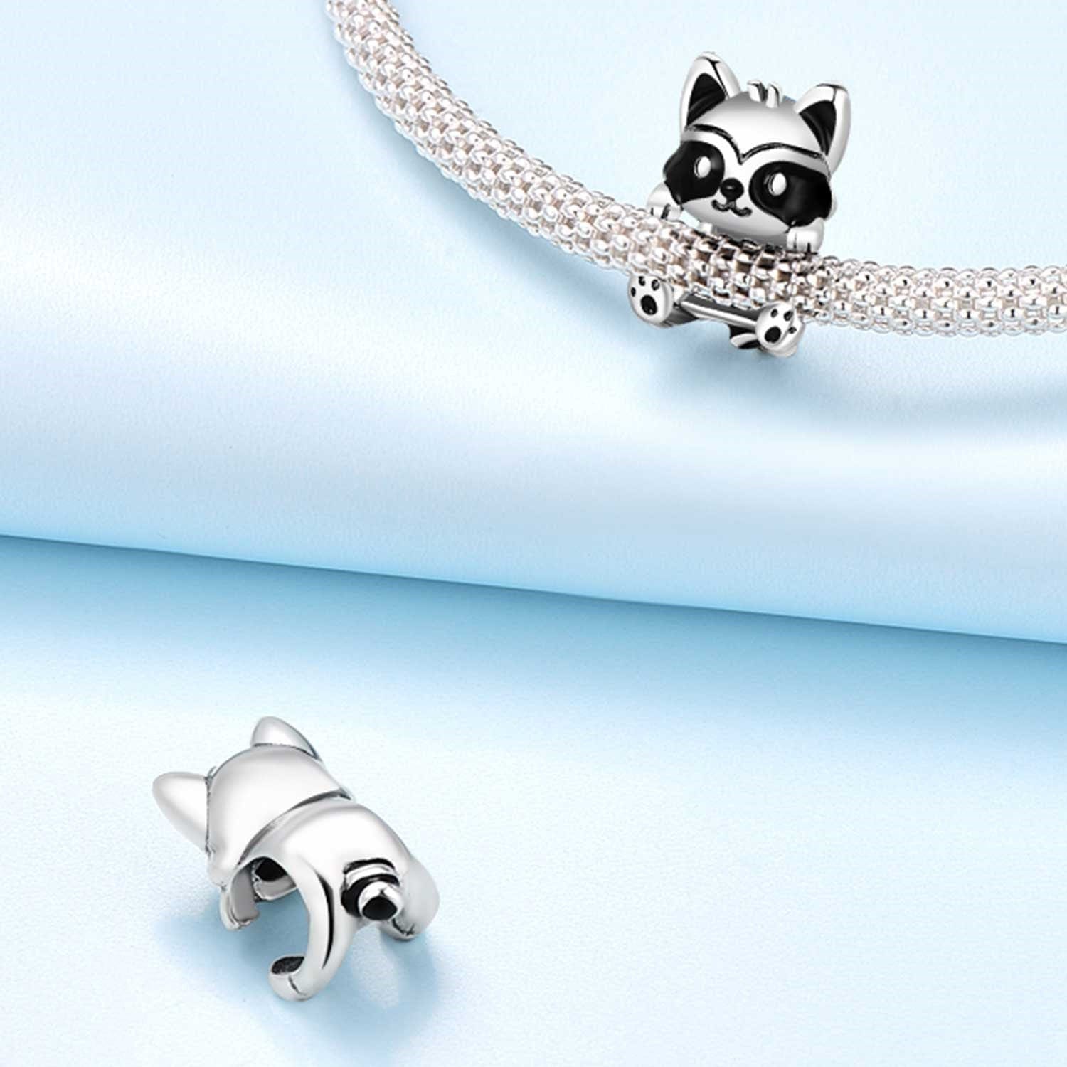 Charm Raton Laveur Câlin