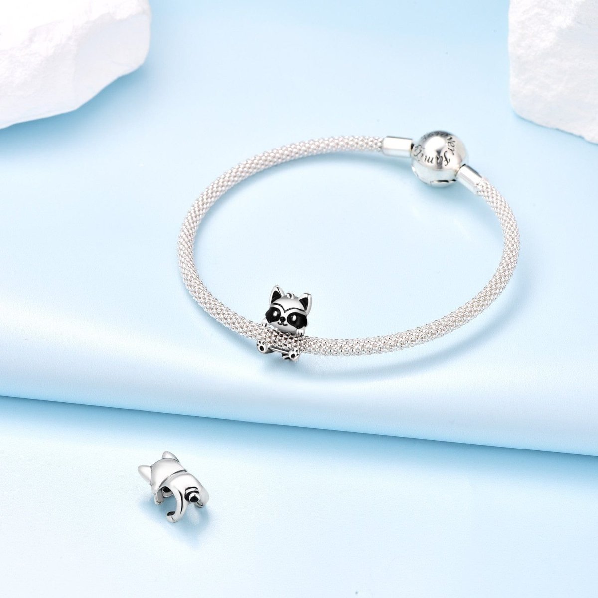 Charm Raton Laveur Câlin