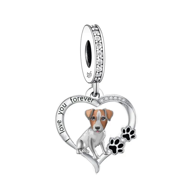 Charm Chien Jack Russell Terrier