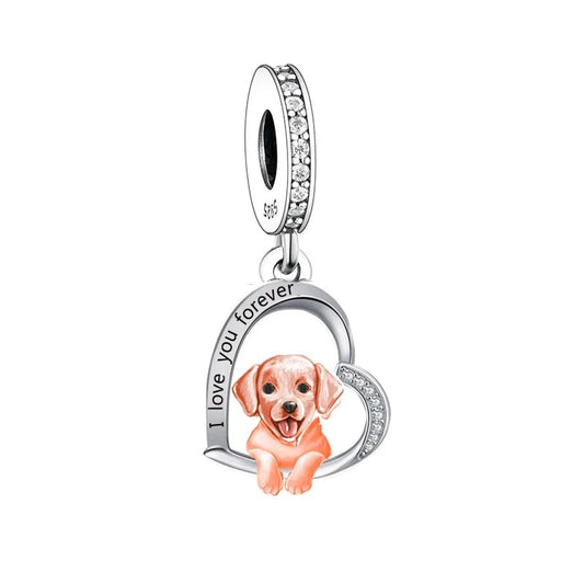 Charm Chien Labrador