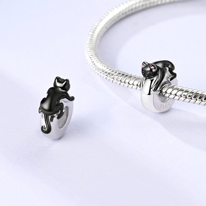 Charm Chat Noir Paresseux