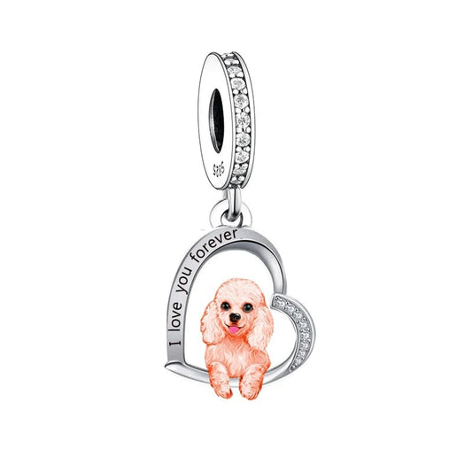 Charm Chien Caniche