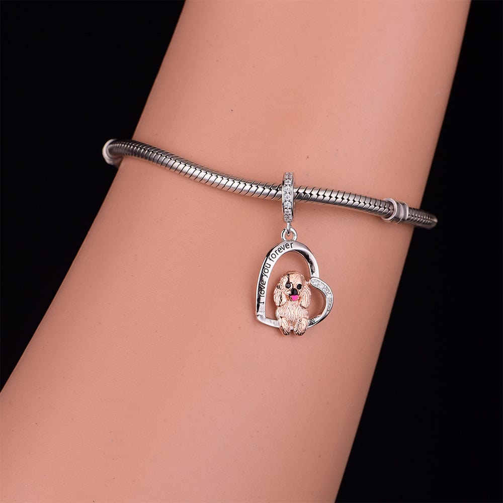 Charm Chien Caniche