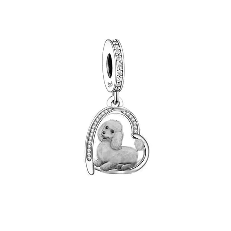 Charm Cœur Chiot Caniche