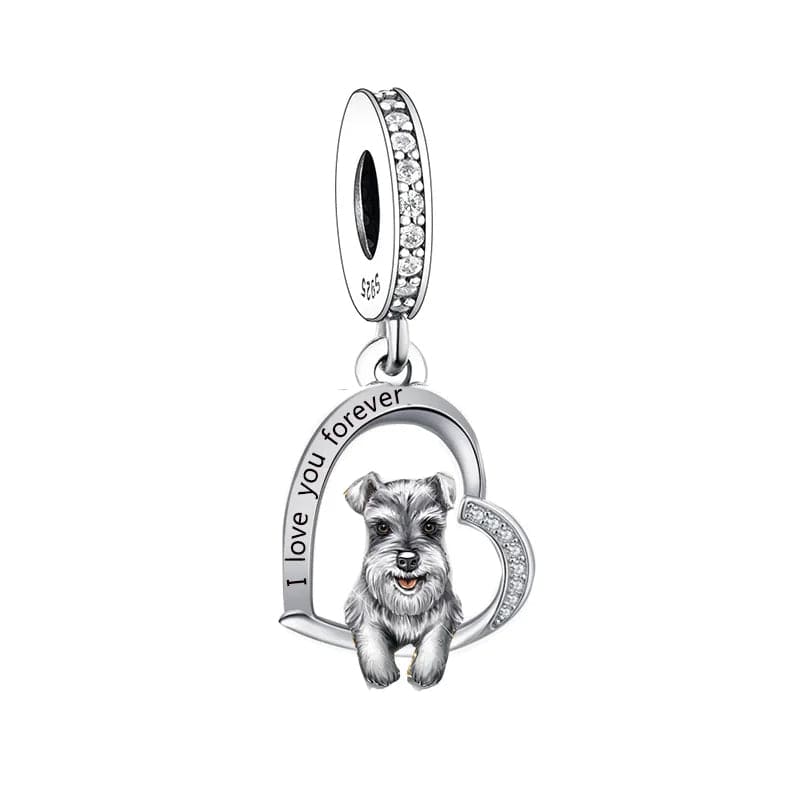 Charm Chien Schnauzer