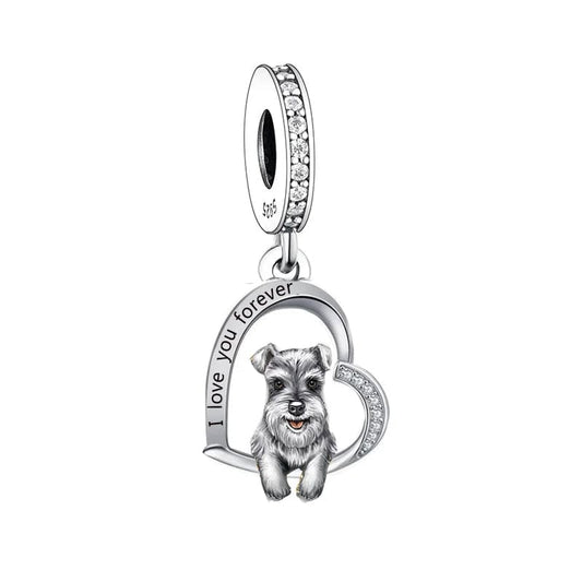 Charm Chien Schnauzer
