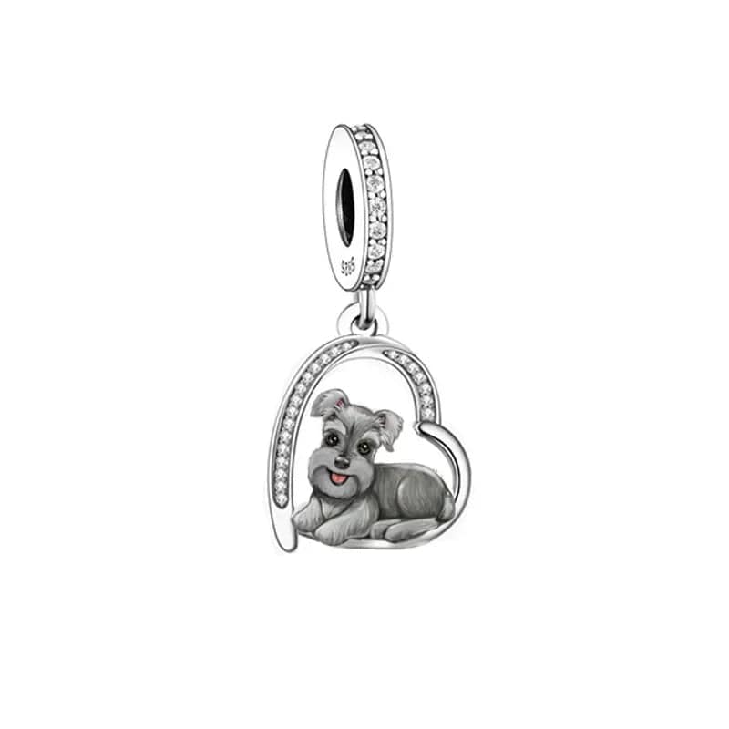 Charm Chiot Schnauzer