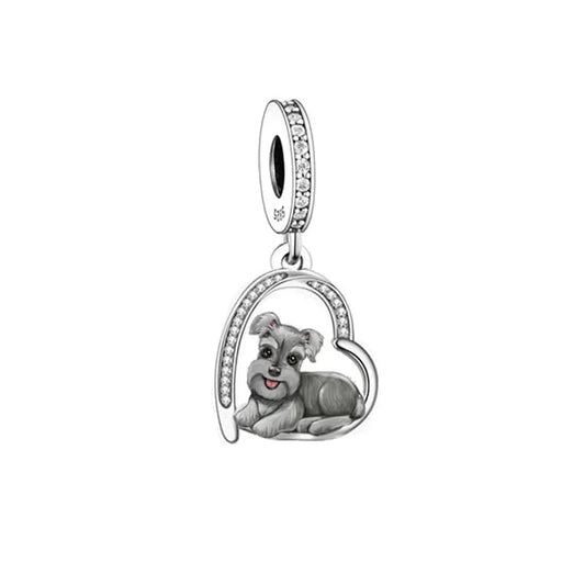 Charm Chiot Schnauzer