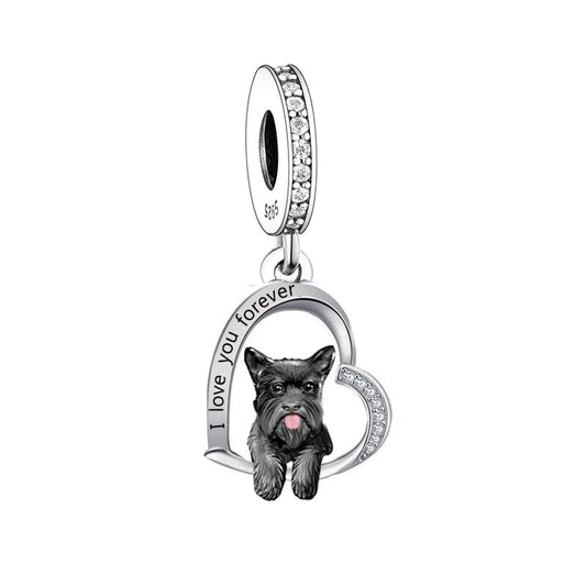 Charm Chien Scottish Terrier