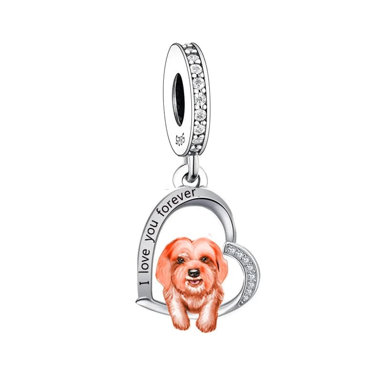 Charm Chien Shih Tzu