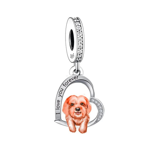 Charm Chien Shih Tzu