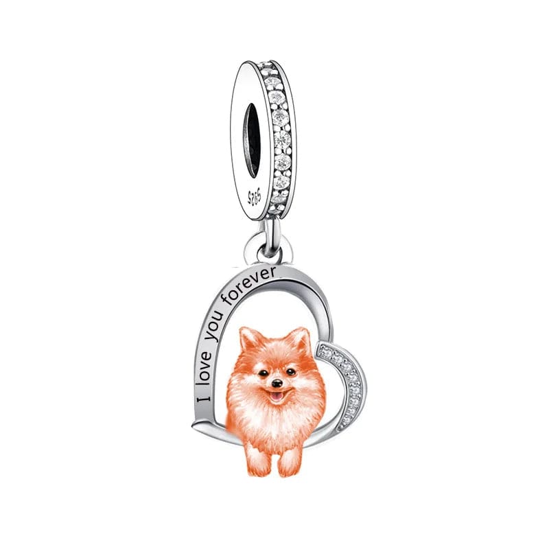 Charm Chien Spitz