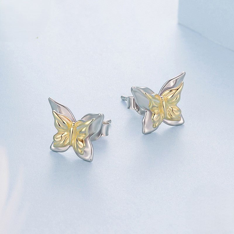Puces d'Oreilles Papillon Bicolores