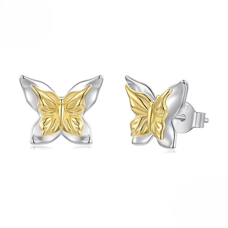 Puces d'Oreilles Papillon Bicolores