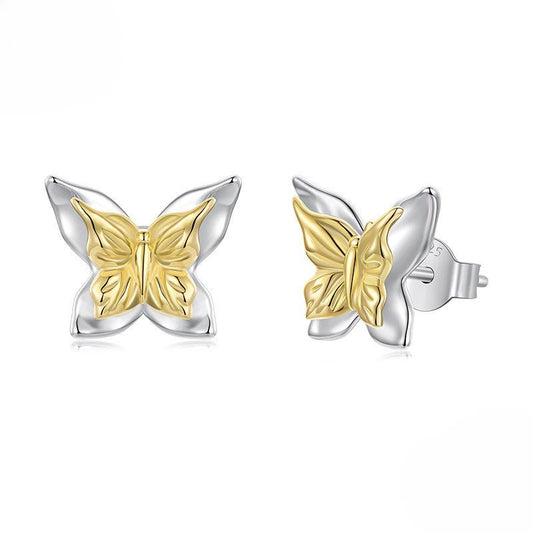 Puces d'Oreilles Papillon Bicolores