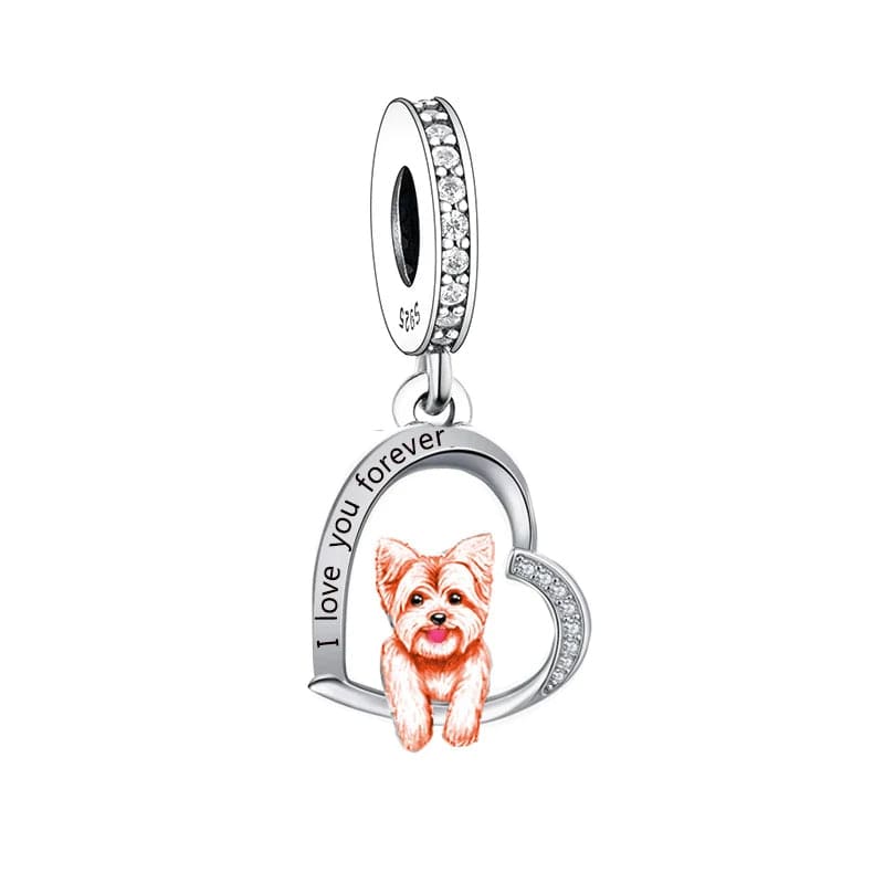 Charm Chien Yorkshire Terrier