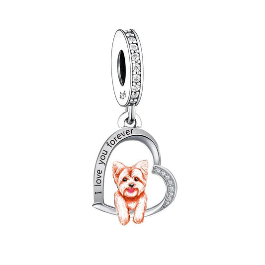 Charm Chien Yorkshire Terrier