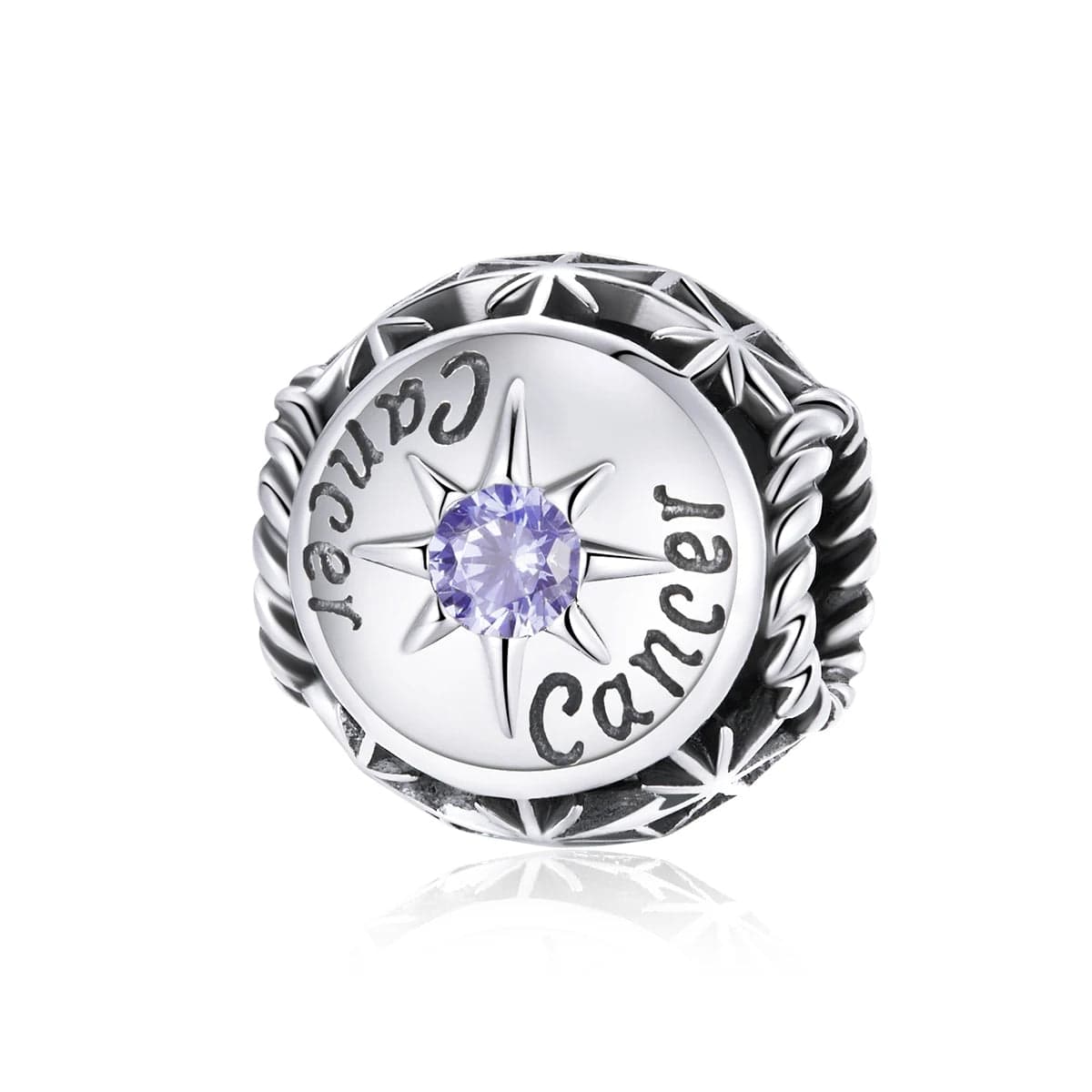 Charms Constellation Signes Astrologiques